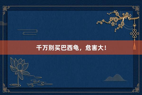 千万别买巴西龟，危害大！